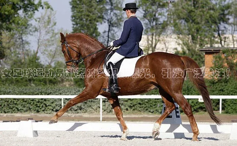 hth·华体育官方福石控股女足球运动员激烈冲突视频曝光，引发广泛关注！