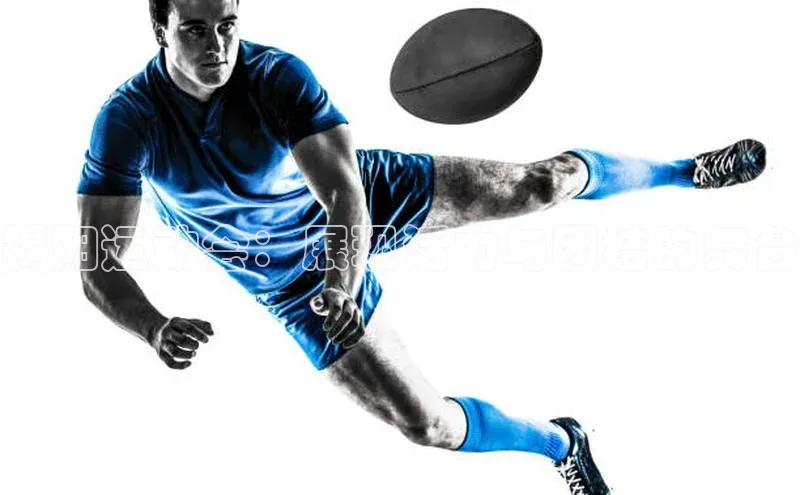 华体育网页版登录入口阿里尔公司揭阳运动会：展现活力与团结的舞台