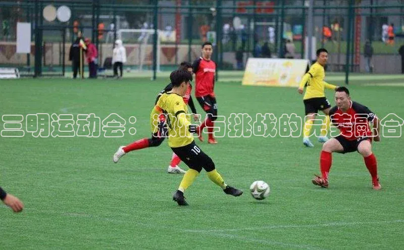 三明运动会：激情与挑战的完美融合