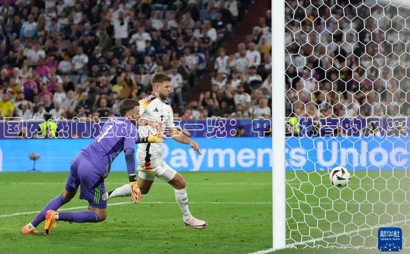 国内热门运动赛事一览：中国体育的风采