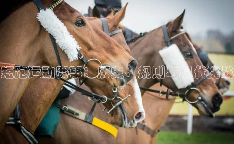 短跑运动赛事：历史、规则与现代挑战