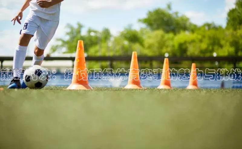 巅峰对决：探讨顶级体育赛事的魅力与挑战