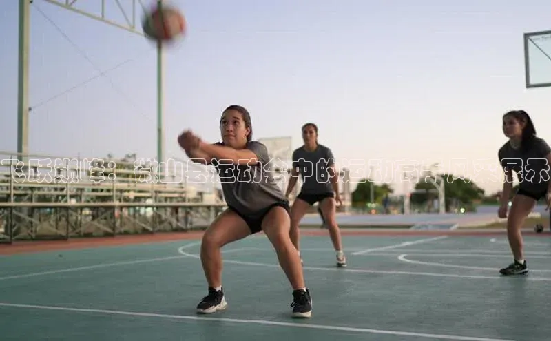 飞跃巅峰：微山县运动会中的运动高手风采展示