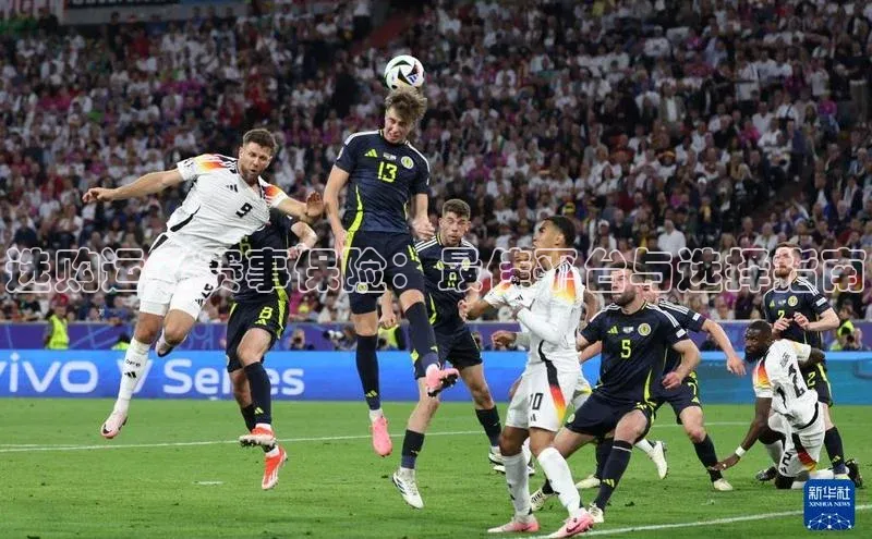 选购运动赛事保险：最佳平台与选择指南