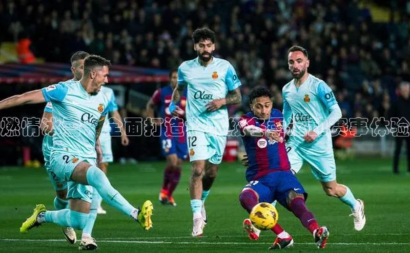 燃情冰雪：全面打造世界级冬季运动赛事体验