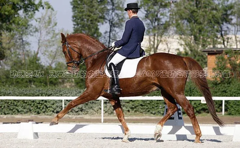 动感赛场：感受运动的力量与速度——2023运动会精彩赛事预告