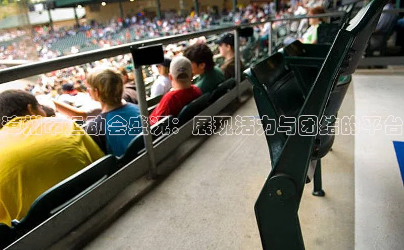 漳州市运动会盛况：展现活力与团结的平台