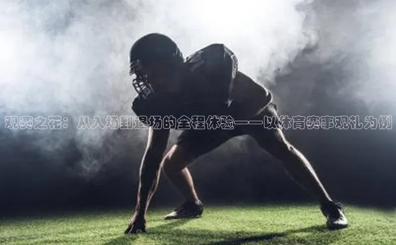 观赛之花：从入场到退场的全程体验——以体育赛事观礼为例