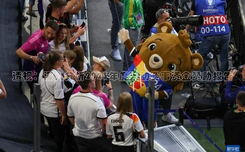 透视：深入分析2023年度运动赛事资金赞助报告