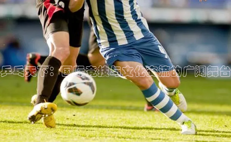 乒乓天下：国际竞技与文化交流的广阔舞台