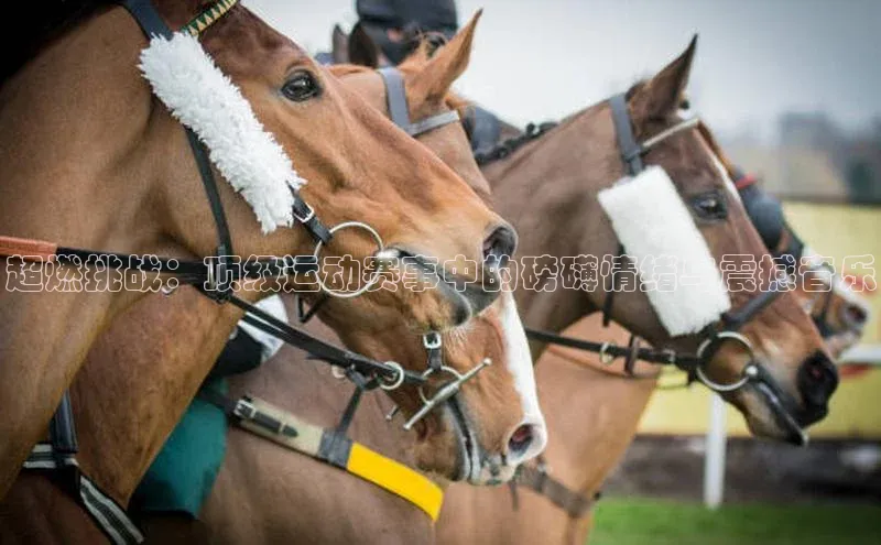 超燃挑战：顶级运动赛事中的磅礴情绪与震撼音乐