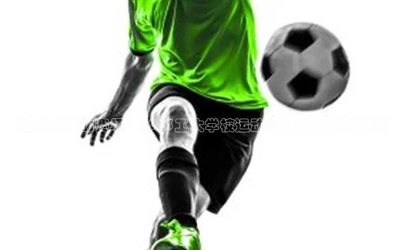 华体体育app官方下载