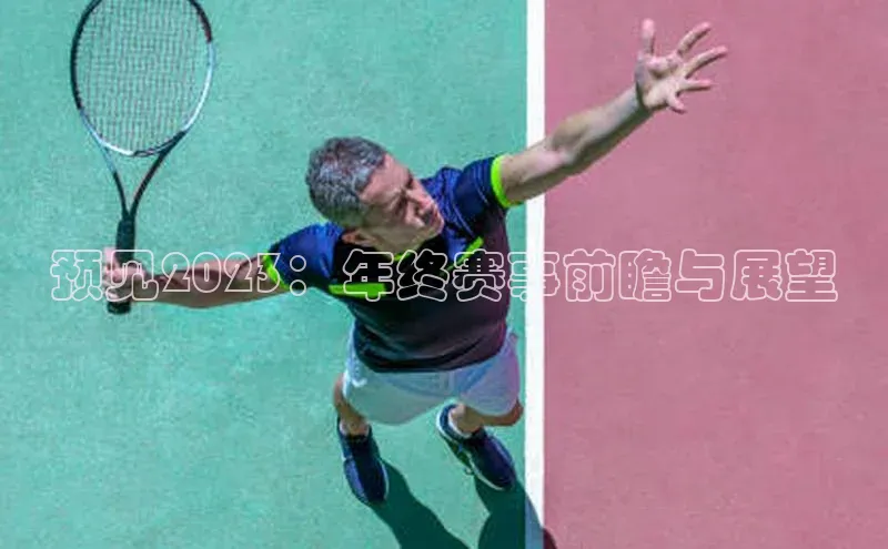 华体育app官方网站入口